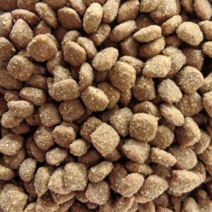 Dog Dry Food