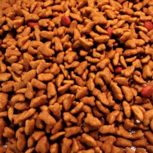 Complete Cat Food