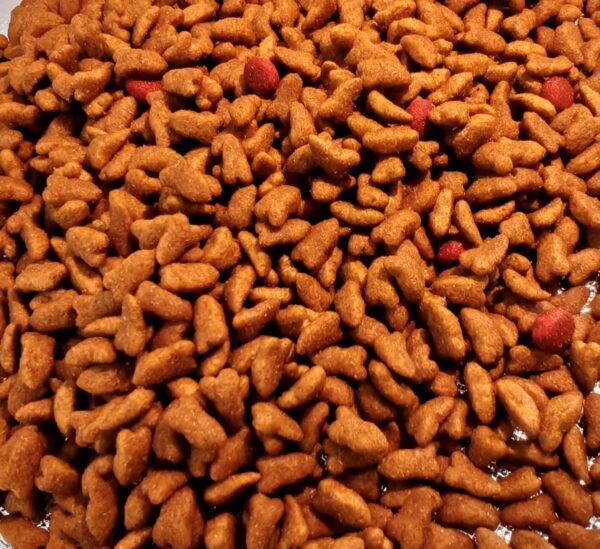 Complete Cat Food