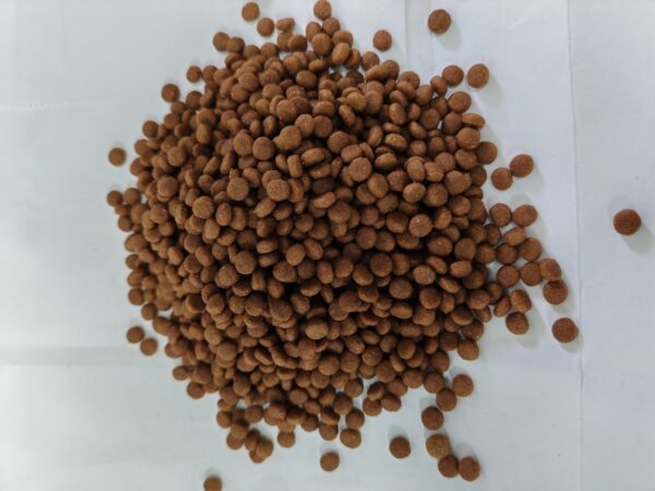 🐶 Complete & Balanced Puppy Food - Image 2