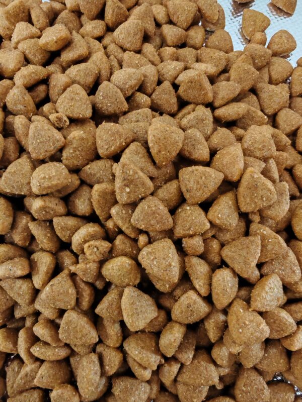 🐾Complete Premium Multi-Protein Dog Food For All Stage - Image 2